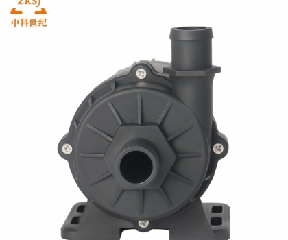ZKSJ Brushless DC Pump DC60D-1
