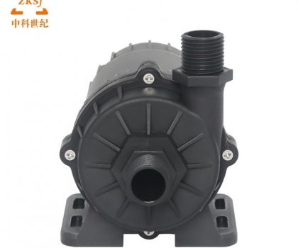 ZKSJ Brushless DC Pump DC60E-1