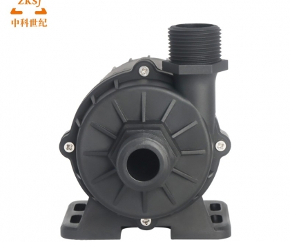 ZKSJ Brushless DC Pump DC60G-1