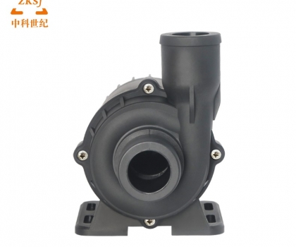 ZKSJ Brushless DC Pump DC80D-1