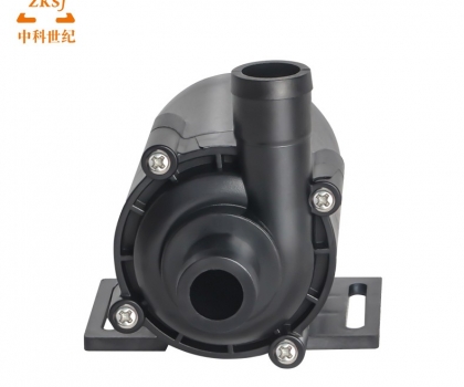 ZKSJ Brushless DC Pump DC55B